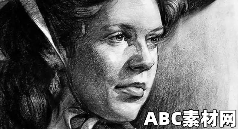 Proko Portrait Drawing Fundamentals Course|ABC素材资源网