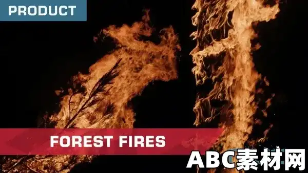 31个森林火灾植物燃烧树干树枝视频素材(111 GB) ActionVFX Forest Fires 4k (MOV) 视频素材 第1张