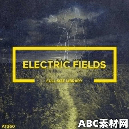 Audiotent Electric Fields WAV 音色 第1张