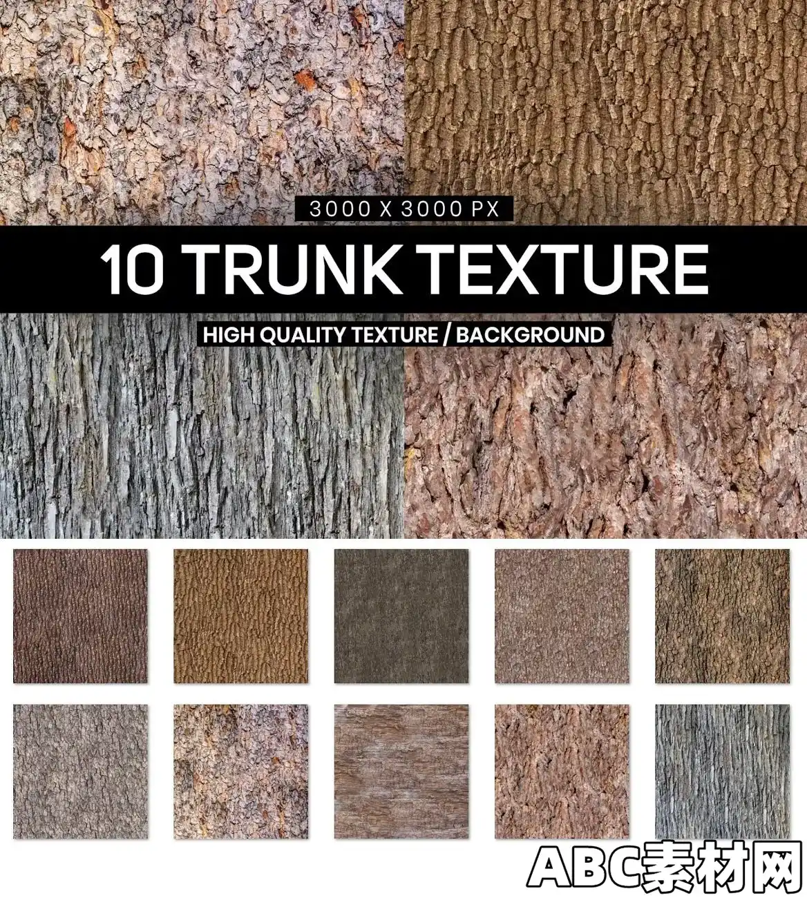 10个树干树皮背景纹理EE – 10 Tree Trunk Textures QMLBEUX|ABC素材资源网