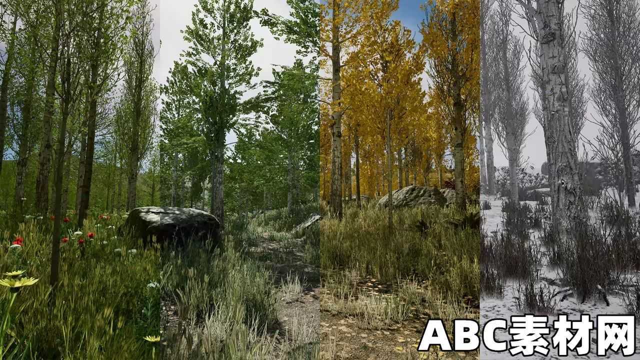 扫描杨树林和桦树林四季景色UE环境Unreal Engine Marketplace – Scanned Poplar and Aspen ...