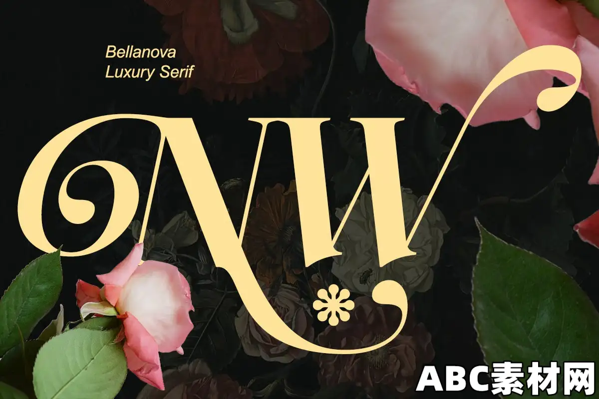 优雅奢华衬线体创意品牌字体Bellanova – Elegant Luxury Serif Creative Branding|ABC素材资源网