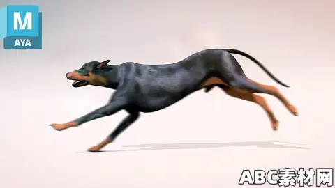 狗狗跑步循环动画制作Maya教程How to Animate a Dog Run Cycle in Maya|ABC素材资源网